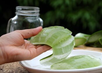 aloe vera