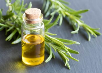 a-bottle-of-essential-oil-with-fresh-rosemary