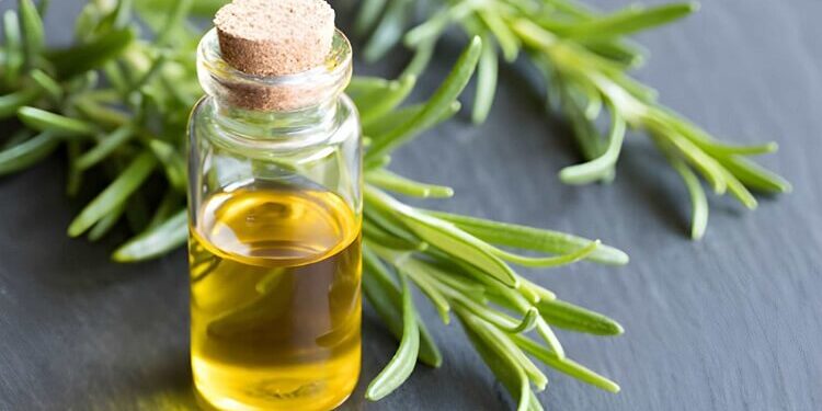a-bottle-of-essential-oil-with-fresh-rosemary
